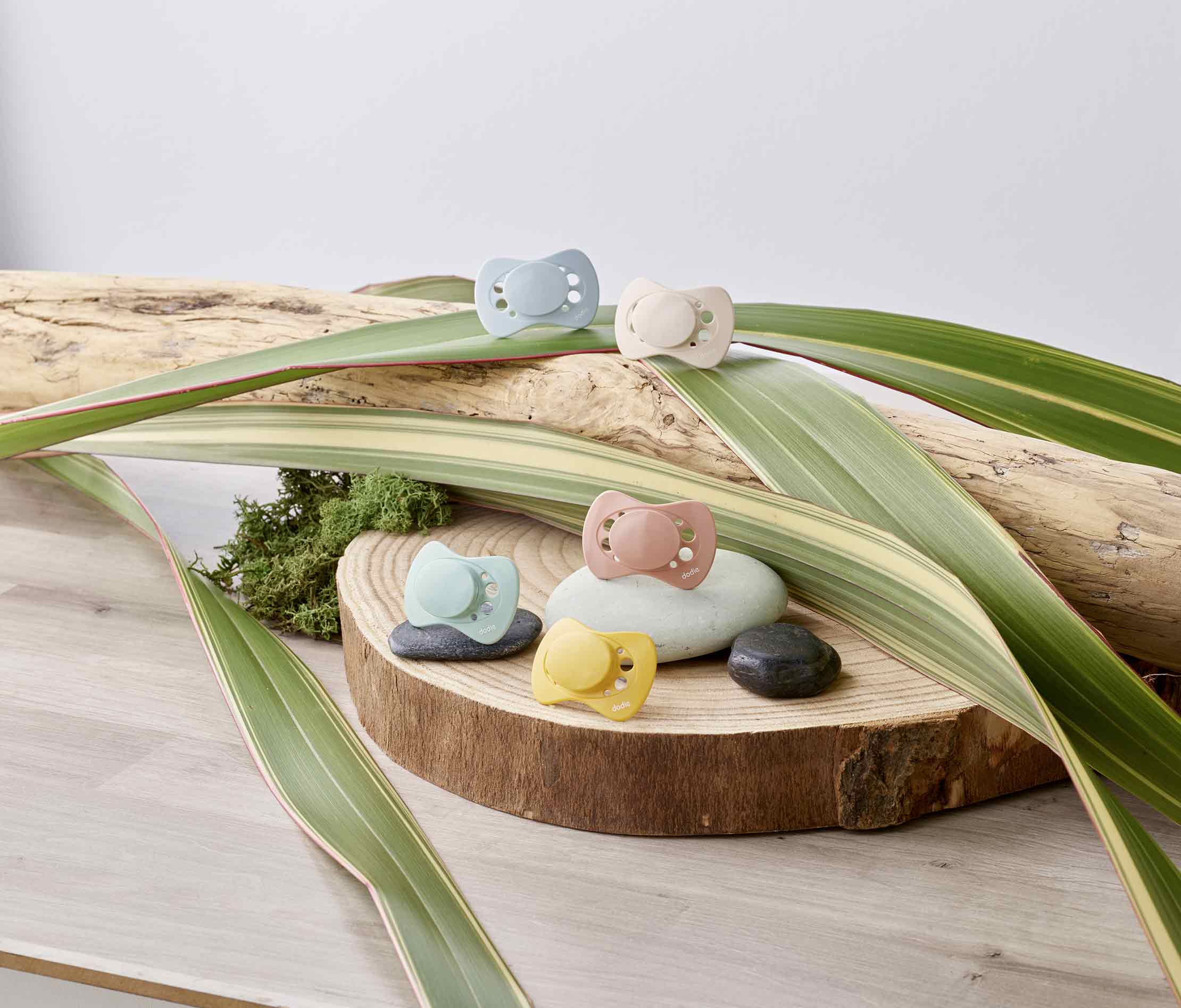 Ambassadrices Dodie sucettes